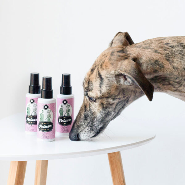 Perfume para perros y gatos - Dama - Image 2