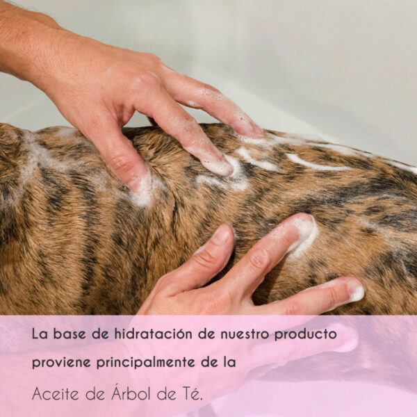 Champú preventivo para perros - Image 4