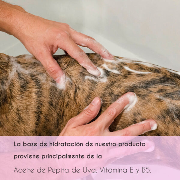 Acondicionador texturizador perros de agua (Kopírovat) - Image 3