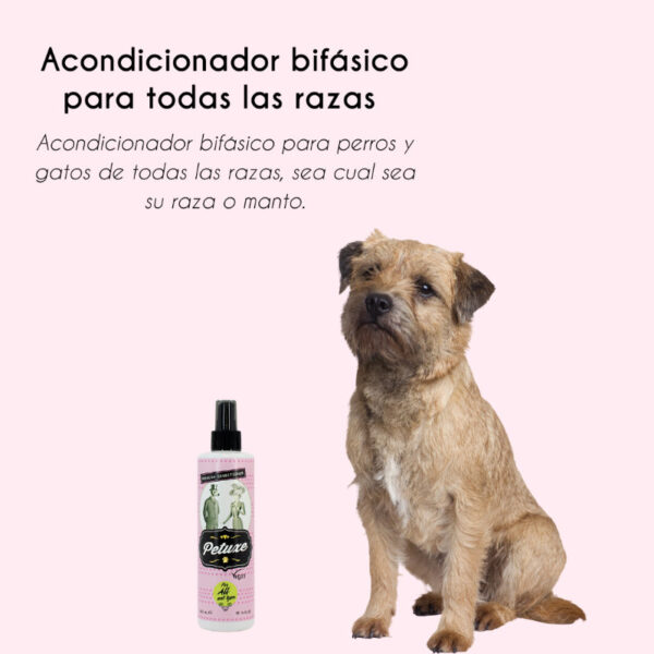 Acondicionador bifásico para perros y gatos - Image 4