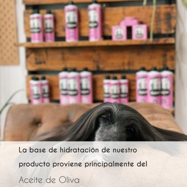 Pack champú, mascarilla y acondicionador todas las razas - Image 4