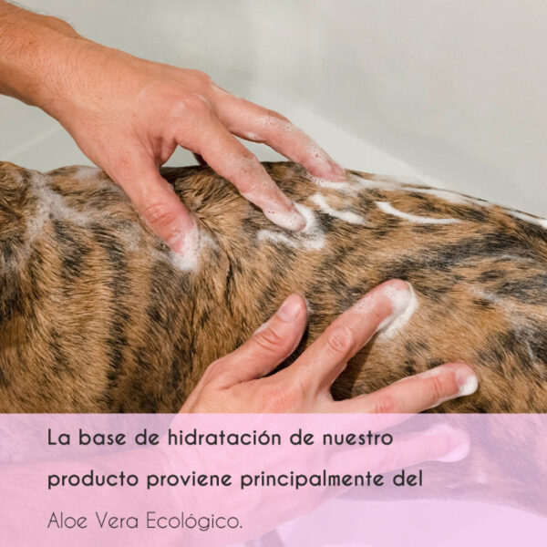 Champú para perros y gatos de pelo blanco - Image 4
