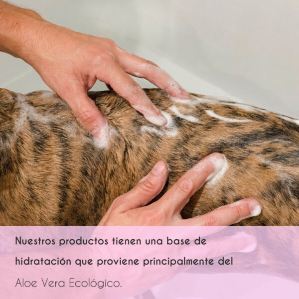 Champú hidratante para perros y gatos - Image 4