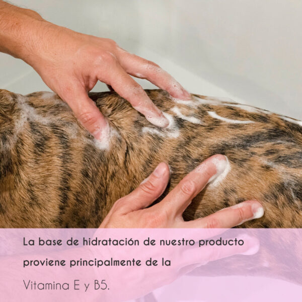 Champú volumen para perros y gatos - Image 4